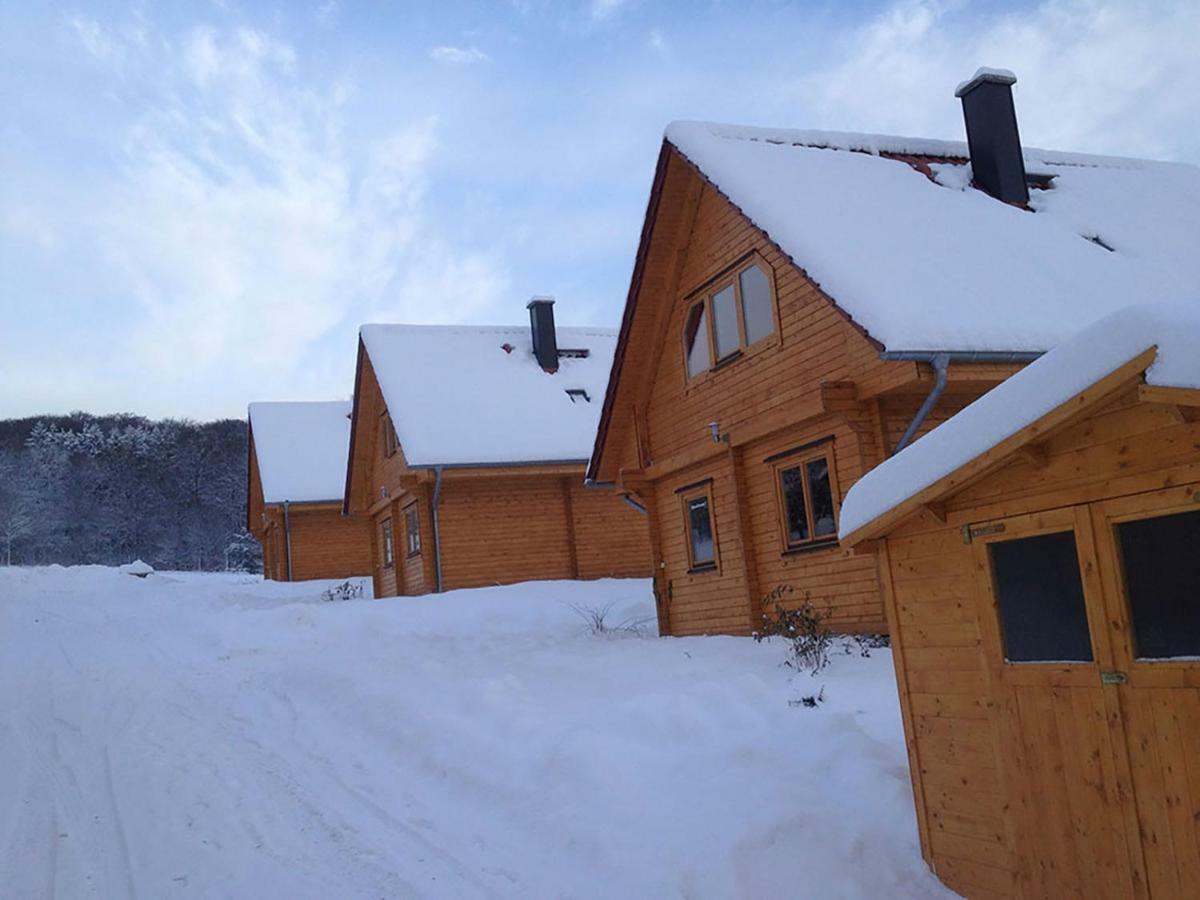 Villa Blockhaus I Bad Sachsa Exterior foto